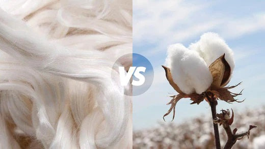 Tencel Vs Cotton – Which Should You Choose?